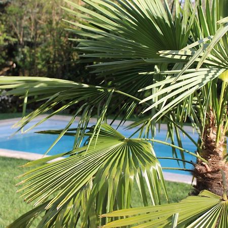 Les Romarins B&B, 10 Min D'Uzes, Piscine Et Grand Jardin, Table D'Hote Exteriér fotografie