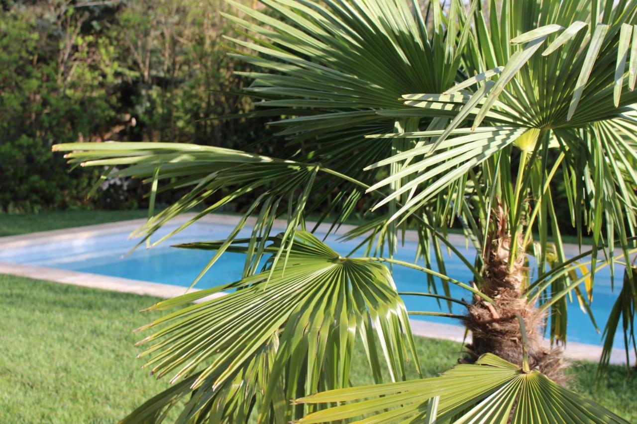 Les Romarins B&B, 10 Min D'Uzes, Piscine Et Grand Jardin, Table D'Hote Exteriér fotografie